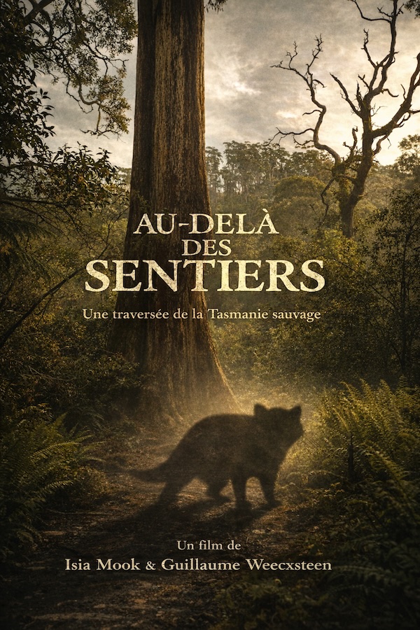 au dela des sentiers affiche